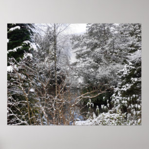 Snowy Träd Poster