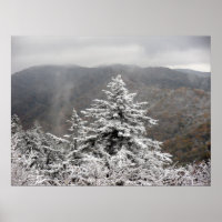 Snowy Träd