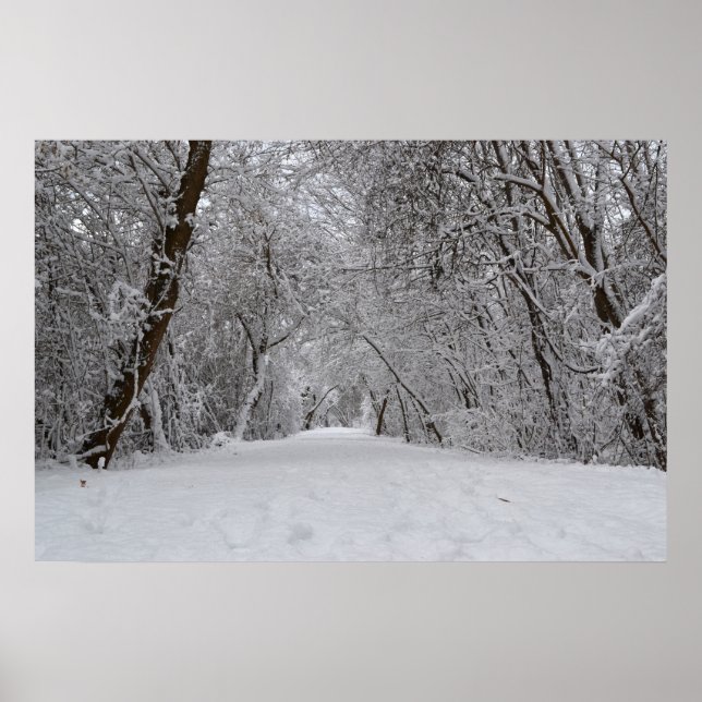 Snowy Trail Poster (Framsidan)