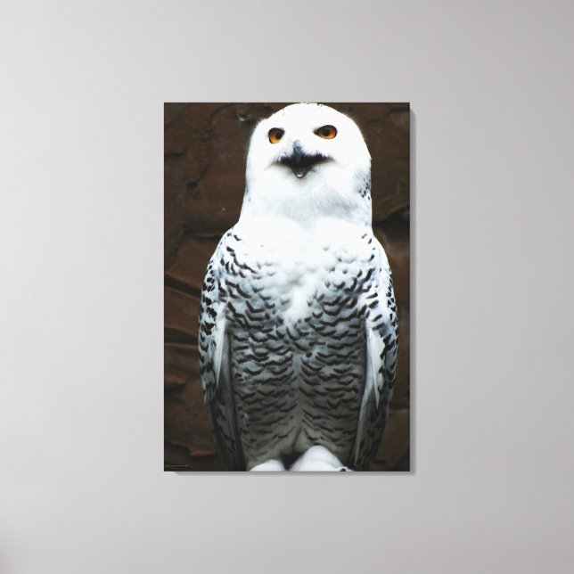 Snowy Uggla 24 x 36 (60 x 90 cm) waccna Canvastryck (Framsida)