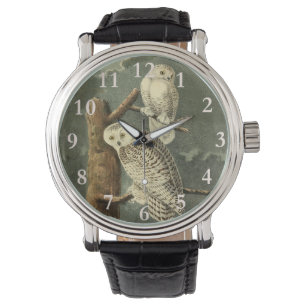 Snowy Uggla Audubon Bird Artwork Armbandsur