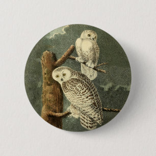 Snowy Uggla Audubon Bird Artwork Knapp