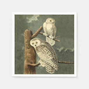 Snowy Uggla Audubon Bird Artwork Pappersservett