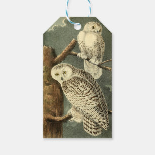Snowy Uggla Audubon Bird Artwork Presentetikett