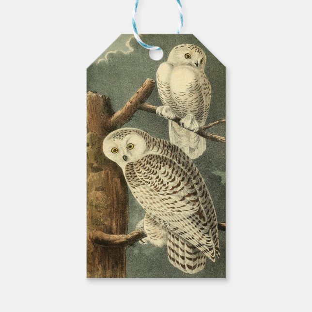 Snowy Uggla Audubon Bird Artwork Presentetikett (Framsidan)
