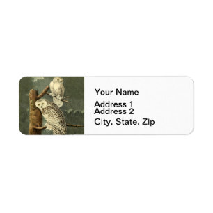 Snowy Uggla Audubon Bird Artwork Returadress Etikett