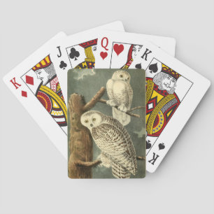 Snowy Uggla Audubon Bird Artwork Spelkort