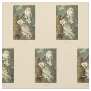 Snowy Uggla Audubon Bird Artwork Tyg