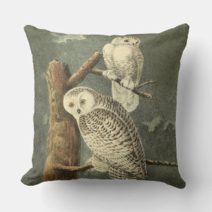 Snowy Uggla Audubon Bird Artwork Utomhuskudde