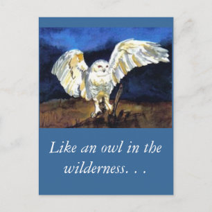 Snowy Uggla av Paula Atwell Vykort