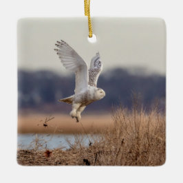 Snowy uggla avgång julgransprydnad keramik