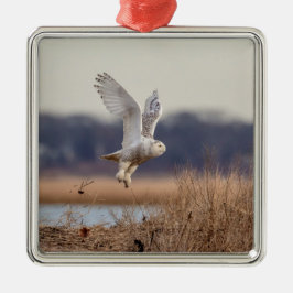 Snowy uggla avgång julgransprydnad metall