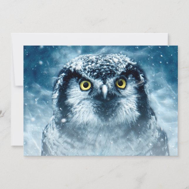 Snowy Uggla Big Öga (Framsida)