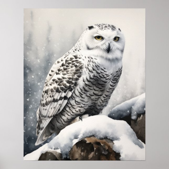 Snowy Uggla Bird Art Print Poster (Framsidan)
