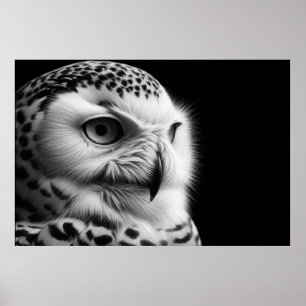 Snowy Uggla i Black & White Poster