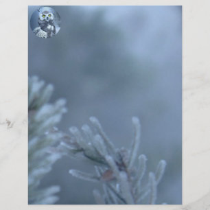 Snowy Uggla i Winter