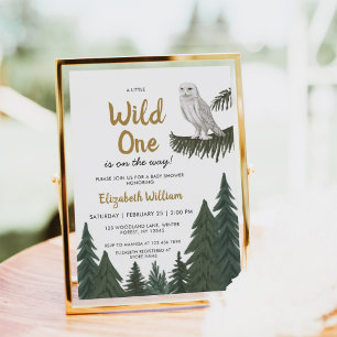 Snowy Uggla Illustration Baby Shower Inbjudningar