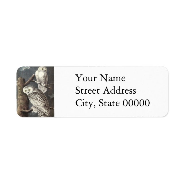 Snowy Uggla, John Audubon Returadress Etikett (Framsidan)