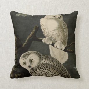 Snowy Uggla, John James Audubon's Birds of America Kudde