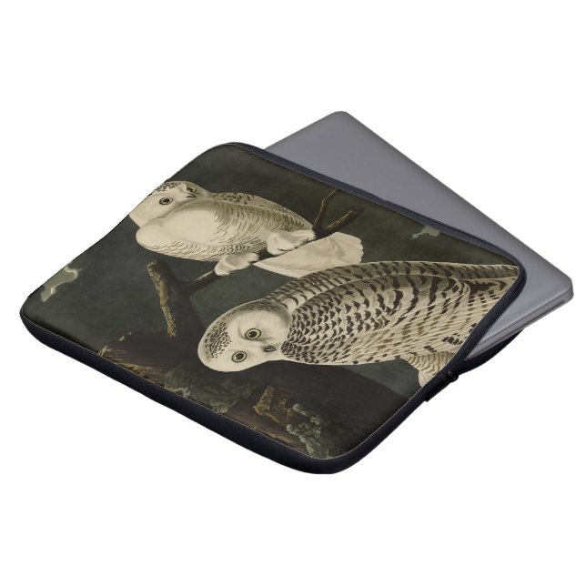 Snowy Uggla, John James Audubon's Birds of America Laptop Fodral (Framsida topp)