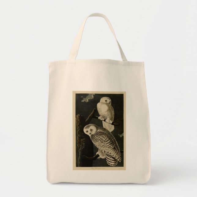 Snowy Uggla, John James Audubon's Birds of America Tygkasse (Framsidan)