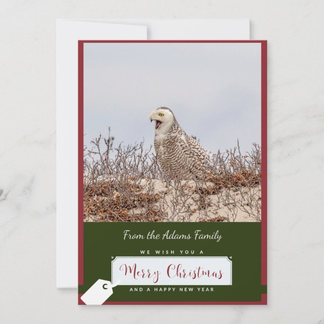 Snowy Uggla julkort (Framsida)