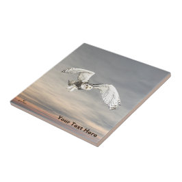 Snowy Uggla Kakelplatta