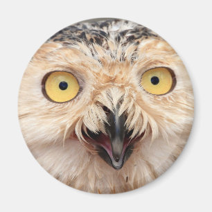 Snowy Uggla Magnet