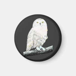 Snowy Uggla Magnet