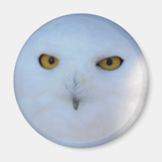 Snowy Uggla Magnet