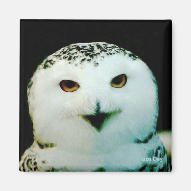 Snowy Uggla Magnet (Framsidan)