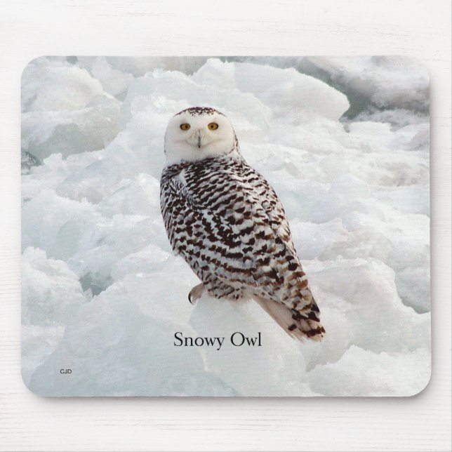 Snowy Uggla Mousepad Musmatta (Framsidan)