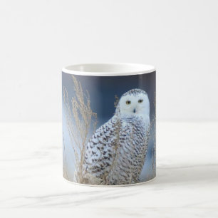 Snowy Uggla Mugg