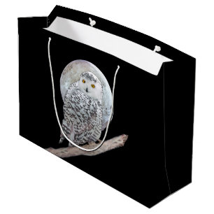 Snowy Uggla och Måne Painting - Originalbild av få