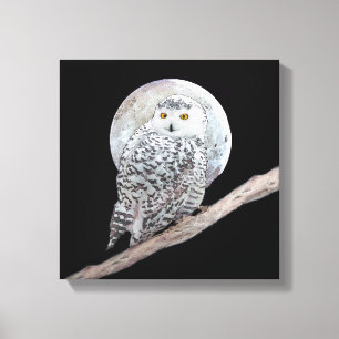 Snowy Uggla och Måne Painting - Originalbild av få Canvastryck