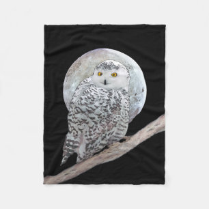 Snowy Uggla och Måne Painting - Originalbild av få Fleecefilt