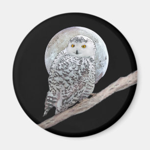 Snowy Uggla och Måne Painting - Originalbild av få Magnet