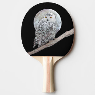 Snowy Uggla och Måne Painting - Originalbild av få Pingisracket