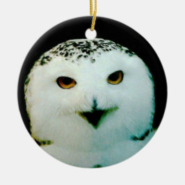Snowy Uggla Ornament