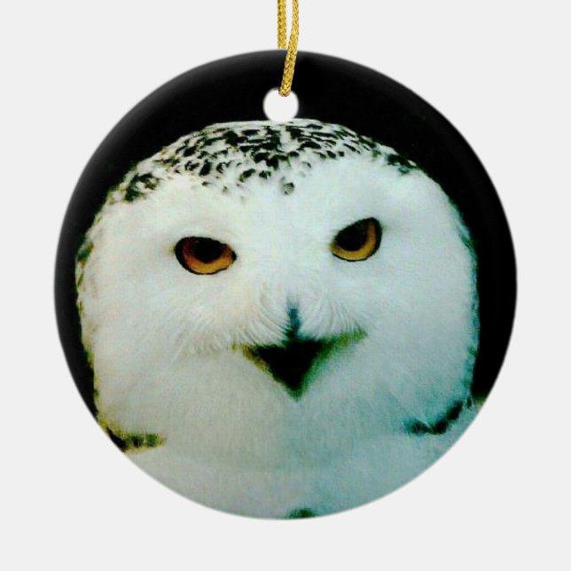 Snowy Uggla Ornament (Framsidan)