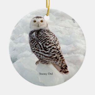Snowy Uggla ornament