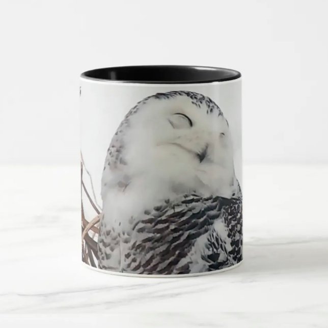 Snowy Uggla på Flyktvägen Mississippi Mugg (Skapare uppladdad)