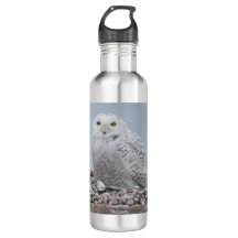 Snowy Uggla på Snells