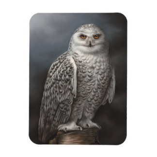 Snowy Uggla Photo Magnet