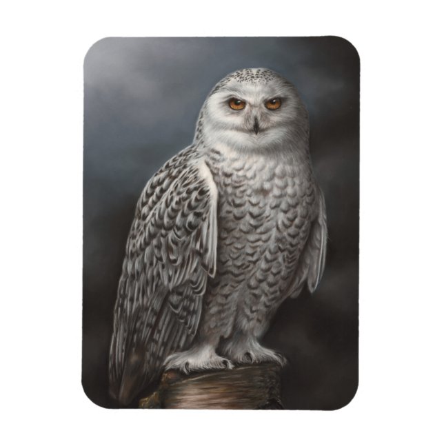 Snowy Uggla Photo Magnet (Vertikal)
