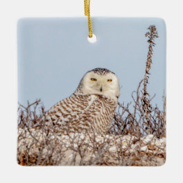 Snowy uggla sitta på stranden julgransprydnad keramik