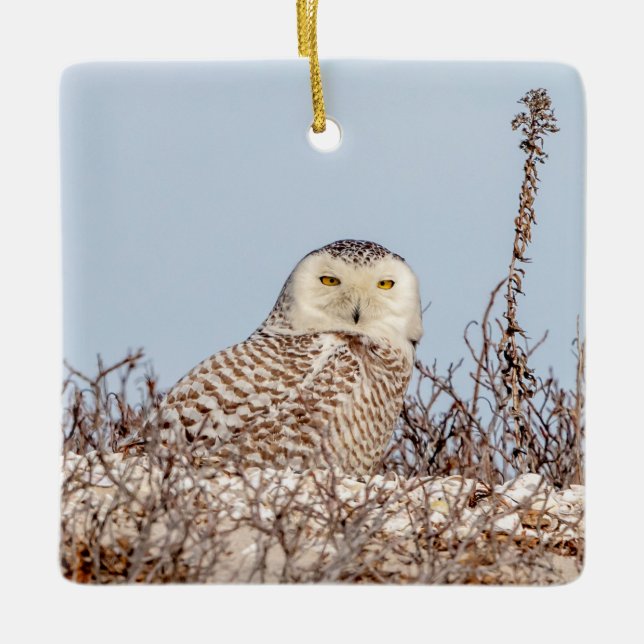 Snowy uggla sitta på stranden julgransprydnad keramik (Framsida)