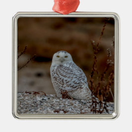 Snowy uggla sitta vid sten julgransprydnad metall