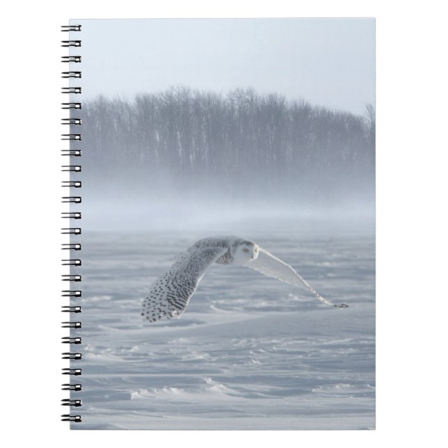 Snowy Uggla som flyger på vinter Anteckningsbok (Framsidan)
