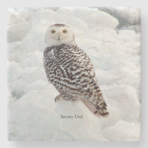 Snowy Uggla-sten underlägg